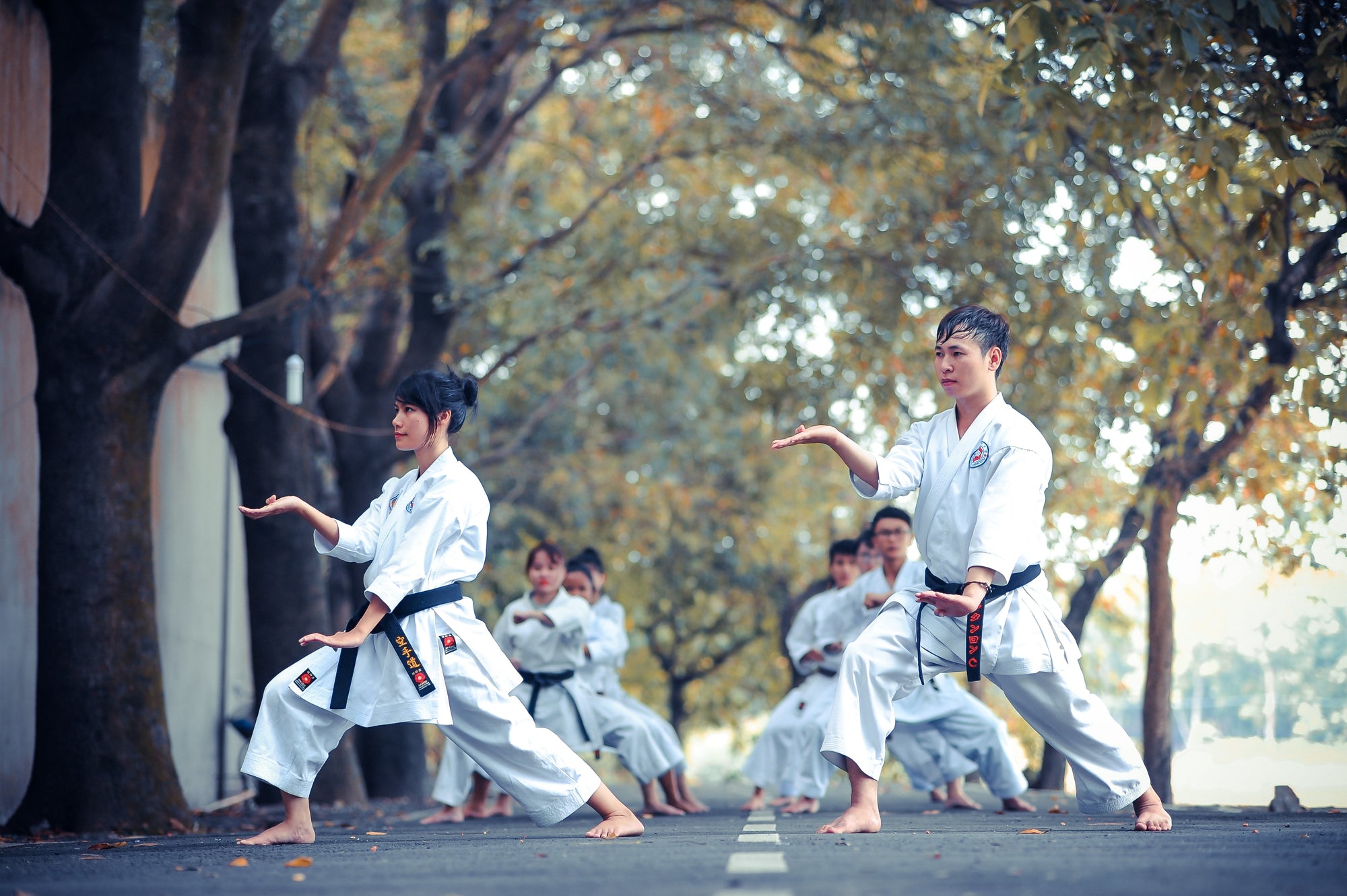 The Top 10 Deadliest Martial Arts in the World