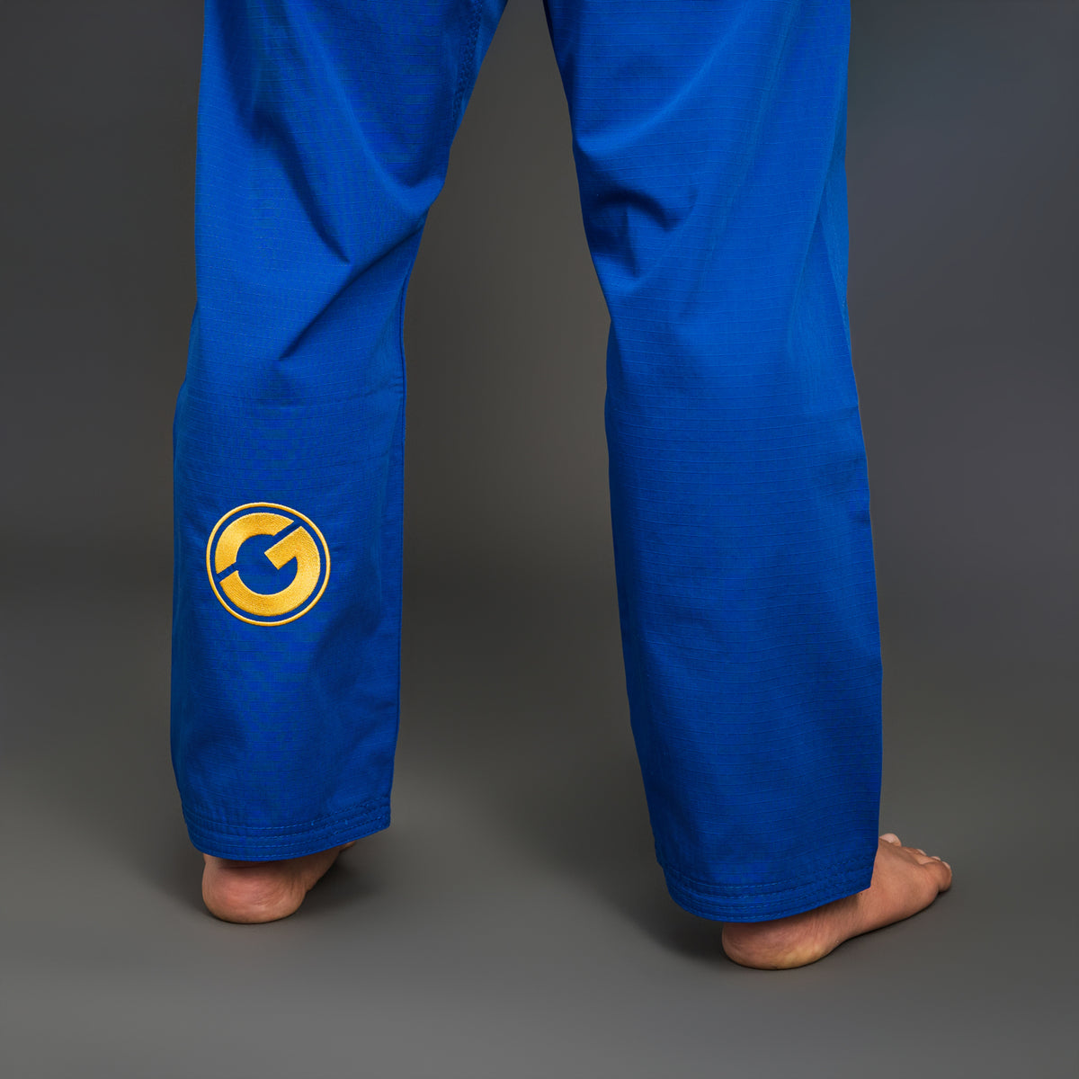 Comp380 Gi