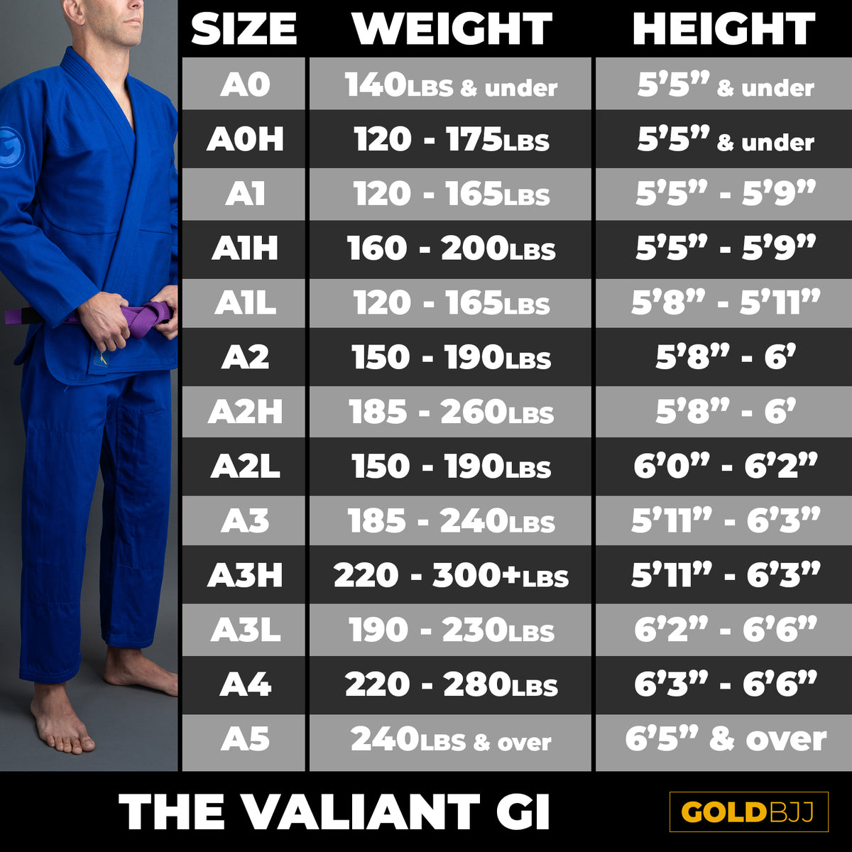 Valiant Gi